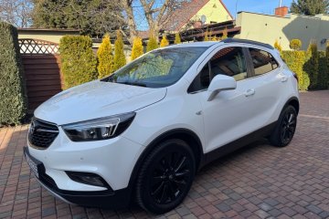 Model 2019, Niski przebieg prosto z Niemiec